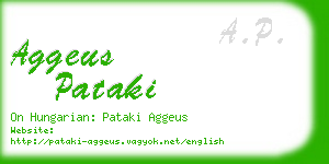 aggeus pataki business card